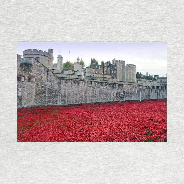 Tower of London Red Poppies by AndyEvansPhotos